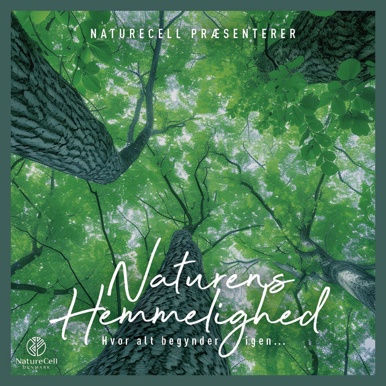 🎶 Naturens Hemmelighed – Vores Sang til Naturen, Huden og Hjertet