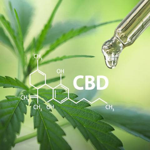 CBD (Cannabidiol)