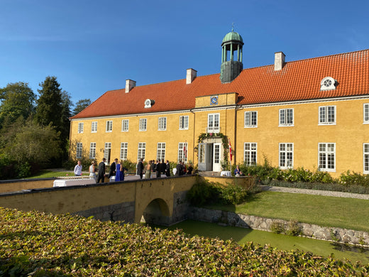 Idéen fødes